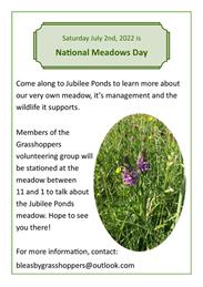 Jubilee Pond Meadow Day