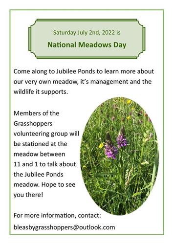  - Jubilee Pond Meadow Day